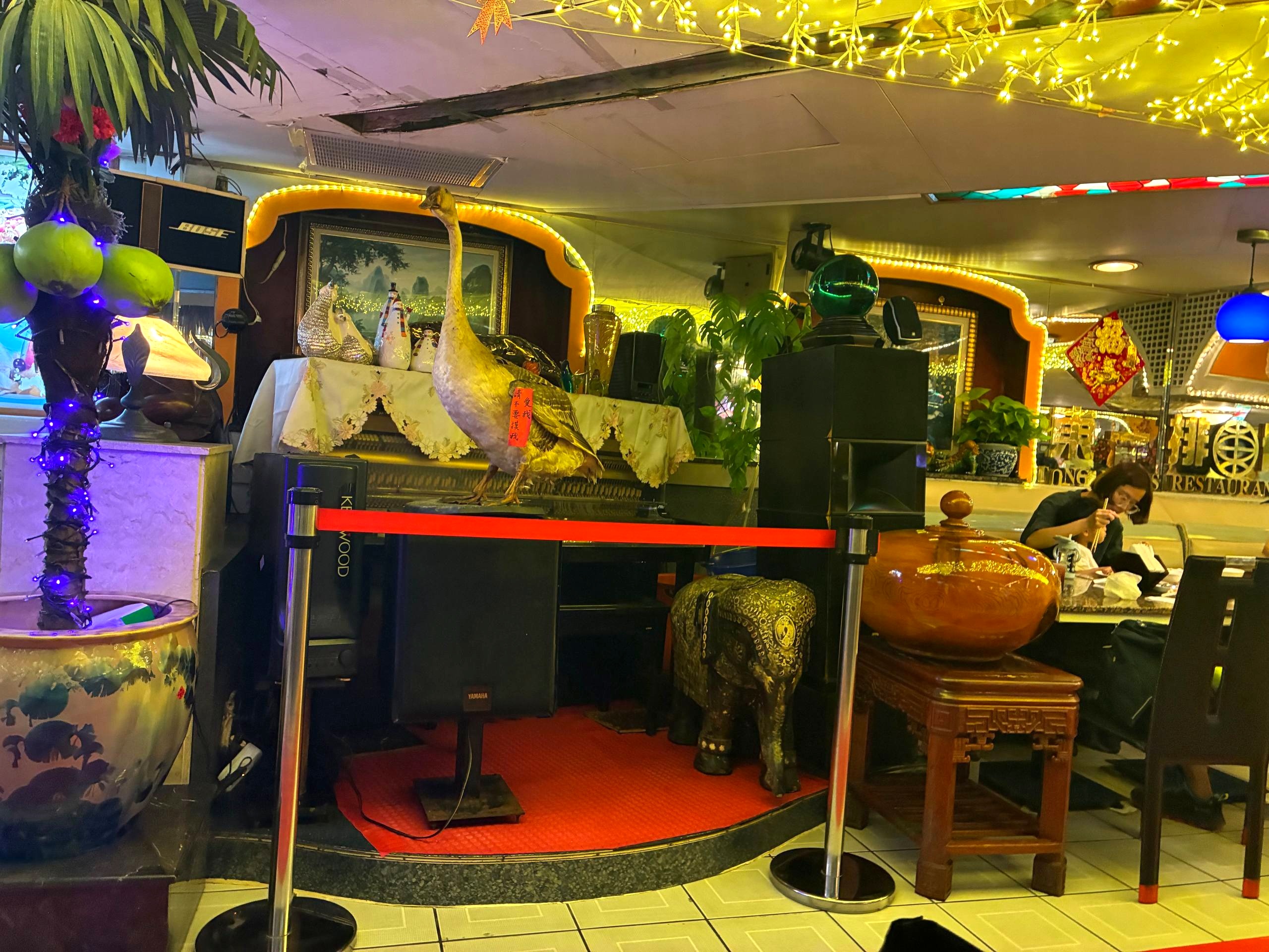 東一排骨總店店內一角